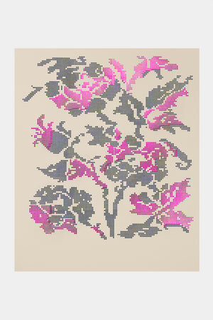 Blooming in Oyster